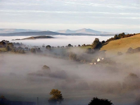 Radnorshire Mist